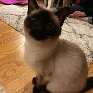 Meet your Posher, David